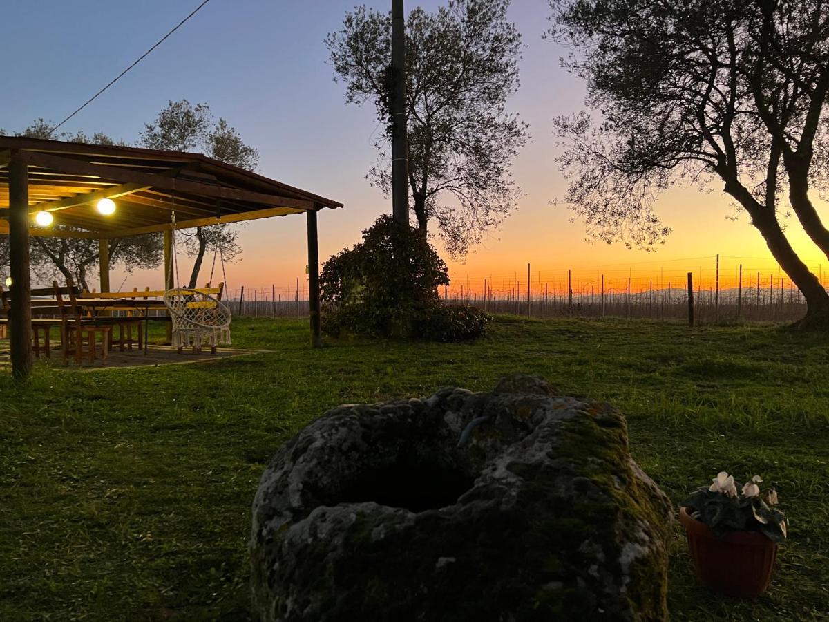 Agriturismo Tenuta Roccaccia Pitigliano Exterior photo